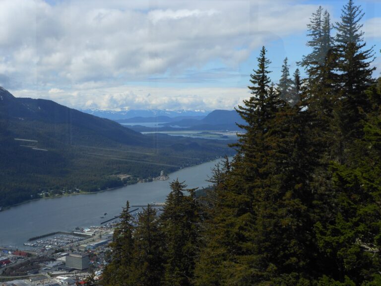 Juneau police become Alaska’s first peer intervention agency