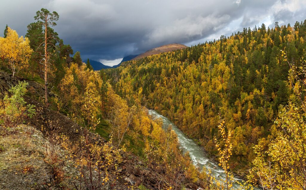 Graddiselva river in Junkerdalen, Saltdal, Nordland, Norway, 2018 September (illustrative photo of Nordland)