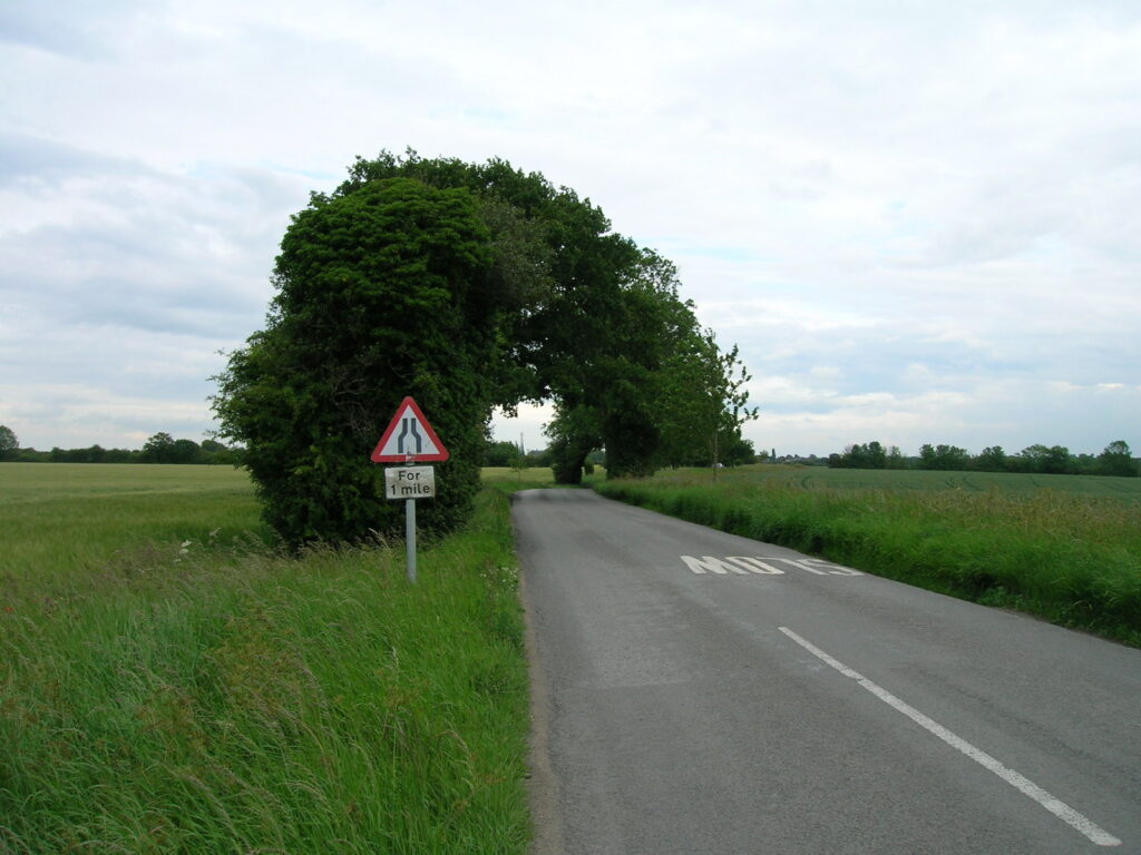 Minor road towards Linton-on-Ouse - geograph.org.uk - 2467677 (illustrative photo of Linton-on-Ouse)
