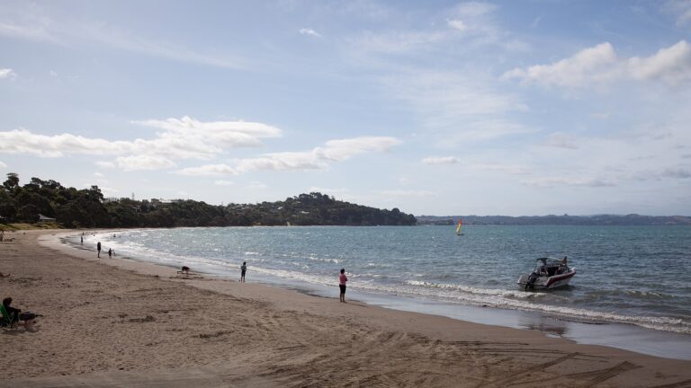 Man charged after alleged attack on woman walking in Stanmore Bay